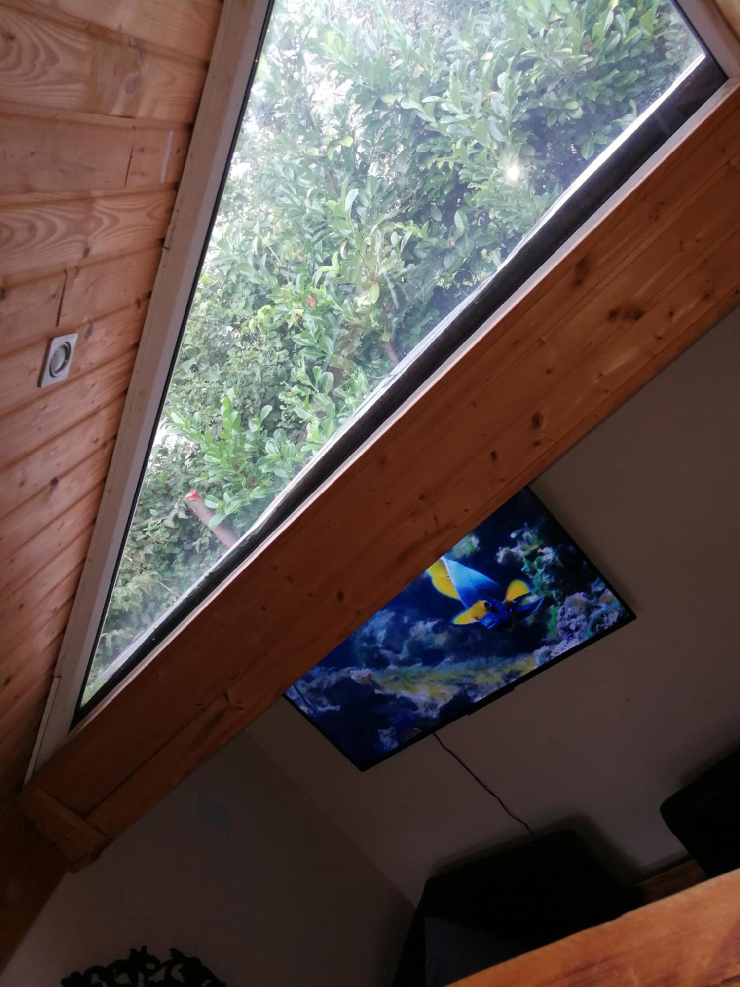 Wohlfuehloase - Zimmer, Appartment - Im Herzen Starnbergs Quarto foto